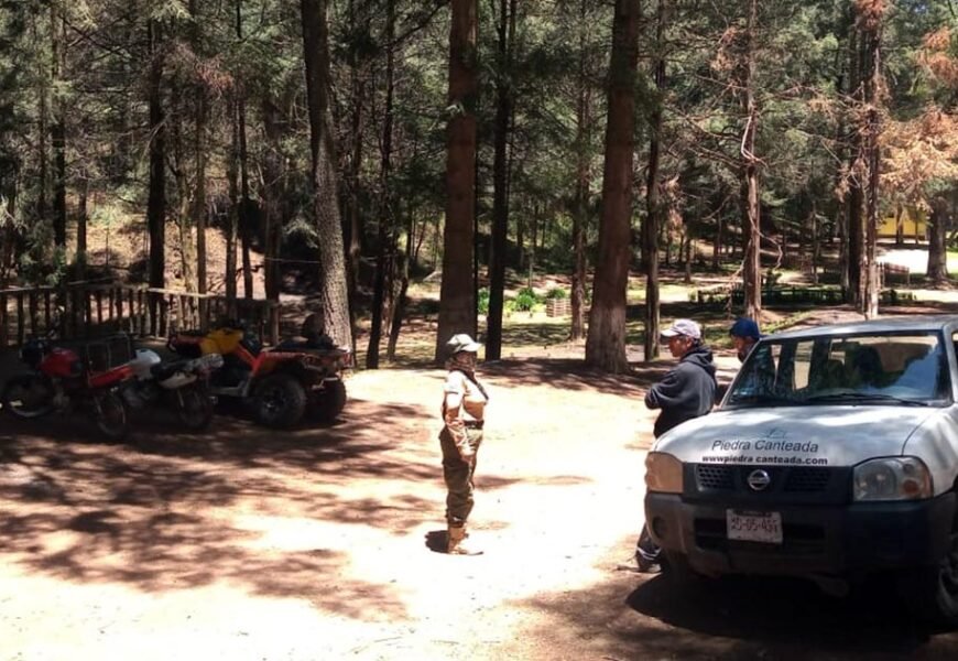 Reporta SSC saldo blanco en Operativo Luciérnagas 2022