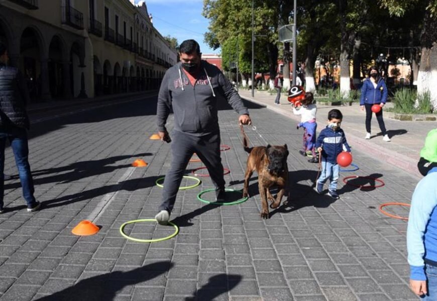 Paseo Dominical con Animales de Compañía de Tlaxcala capital fomenta unión familiar