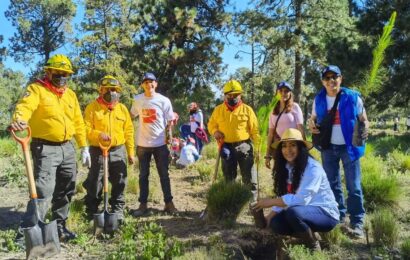 Gobierno de Tlaxcala y Coca-Cola Femsa reforestan más de 23 Hectáreas en Huamantla