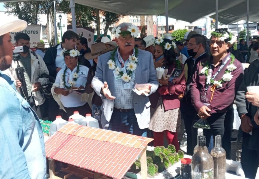 El nopal y la tuna son herencia cultural y oportunidad de negocio en Tlaxcala: SIA