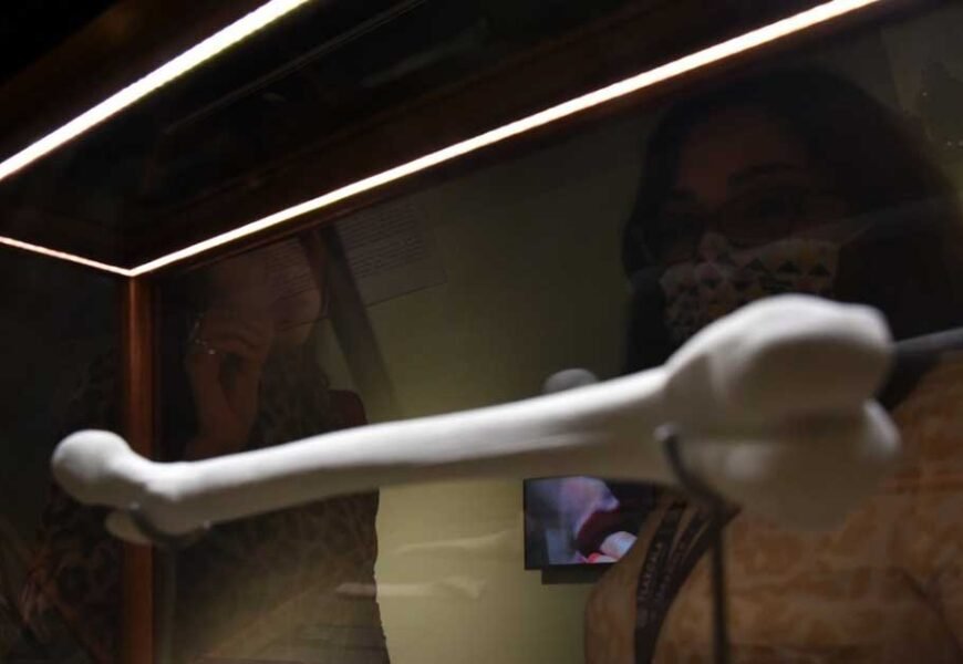 Disfrutaron tlaxcaltecas de la exposición “Escucha profunda” en el MAT Disfrutaron tlaxcaltecas de la exposición “Escucha profunda” en el MAT