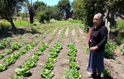 Invaluable, el trabajo de las mujeres rurales en Tlaxcala: SIA