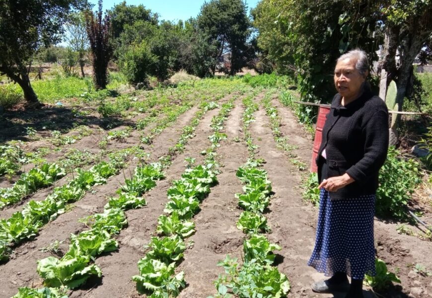 Invaluable, el trabajo de las mujeres rurales en Tlaxcala: SIA