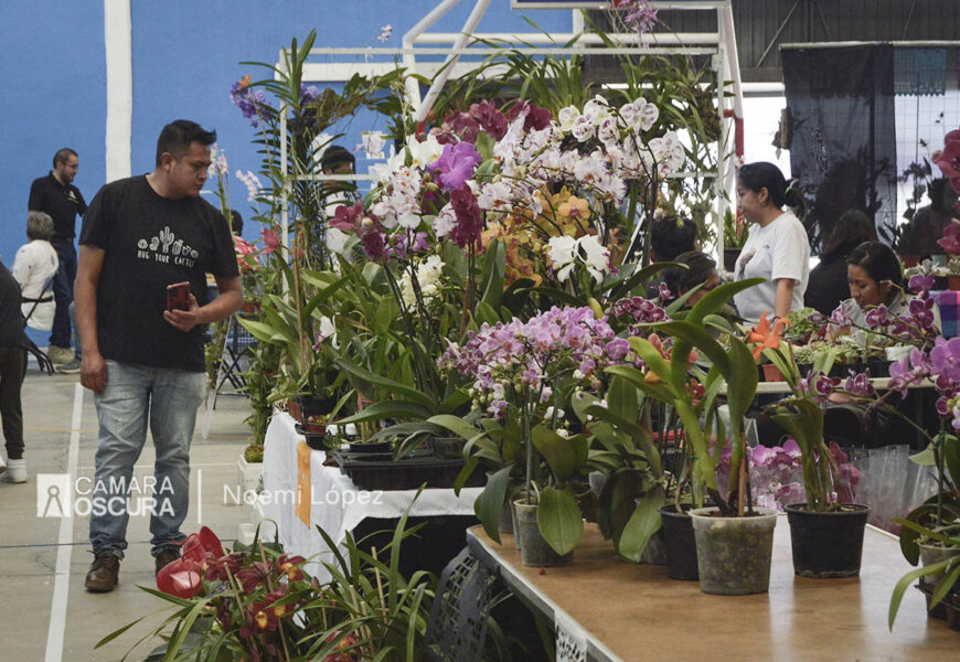 Inicia con éxito primera expo-venta de orquídeas Xochiquetzalli