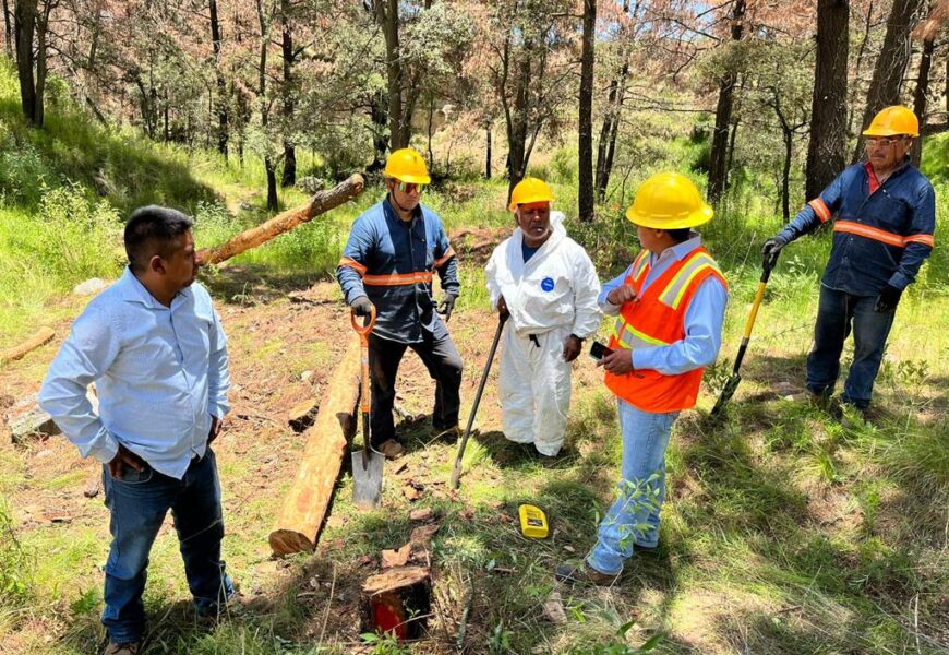 Confirma SMA pago a brigadas comunitarias por saneamiento forestal a La Malinche