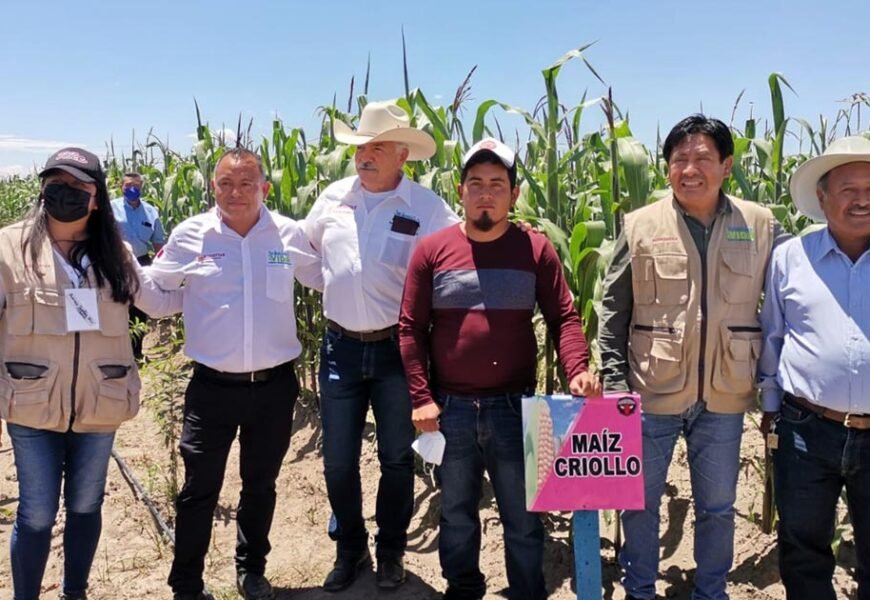 Con inversión histórica para el campo, se atiende a los verdaderos productores Con inversión histórica para el campo, se atiende a los verdaderos productores