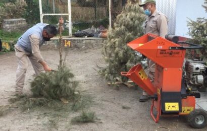 Invita la Secretaría de Medio Ambiente a reciclar los árboles de navidad