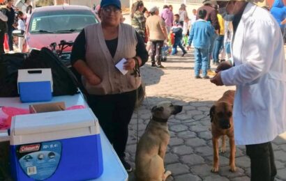 Otorga Sector Salud de Tlaxcala vacuna antirrábica para perros y gatos