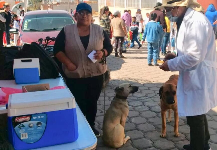 Otorga Sector Salud de Tlaxcala vacuna antirrábica para perros y gatos