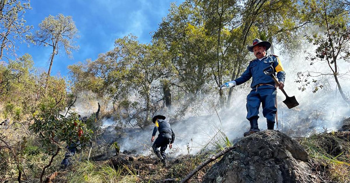 Incendio forestal en Tlaxco, controlado en un 85 por ciento: SMA
