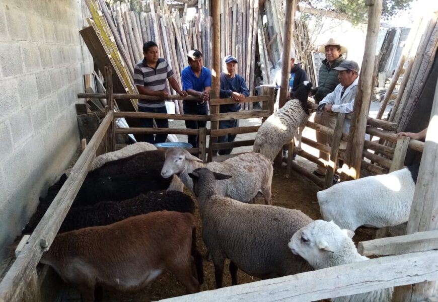 Con seis programas impulsa Gobierno del Estado el desarrollo rural en Tlaxcala