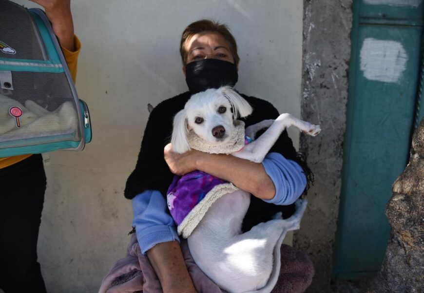 En Tlaxcala Capital se efectuará jornada de vacunación antirrábica canina y felina