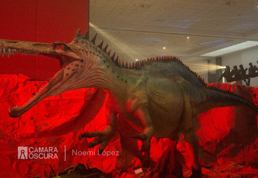 Llega a Tlaxcala el museo itinerante “Tierra de Dinosaurios”