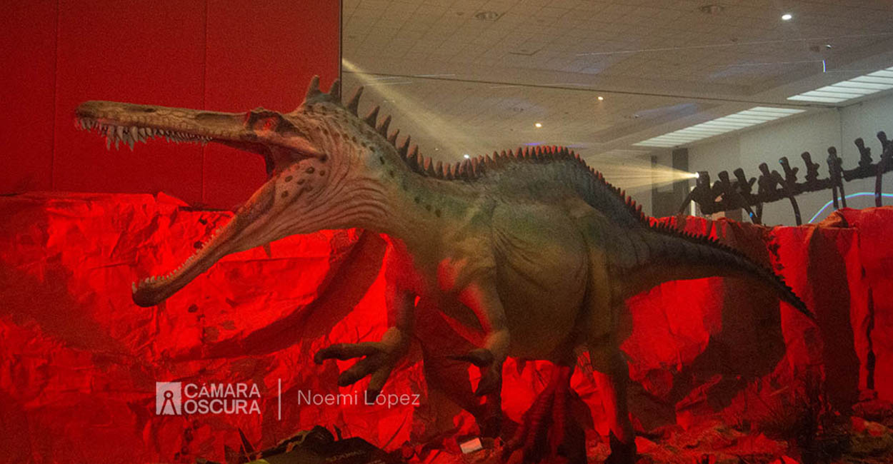 Llega a Tlaxcala el museo itinerante “Tierra de Dinosaurios”
