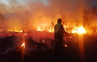 Autoridades Estatales y federales combaten incendio forestal en la Malinche