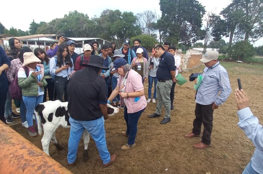 Imparte SIA curso sobre crianza de reemplazos bovinos