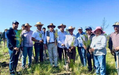 Reforesta PROPAET el ejido cola de caballo en La Malinche