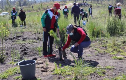 Estudiantes del CECYTE plantaron 2 mil 100 árboles en La Malinche