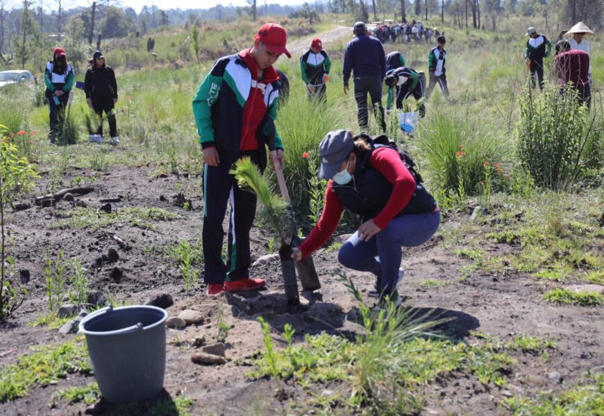 Estudiantes del CECYTE plantaron 2 mil 100 árboles en La Malinche