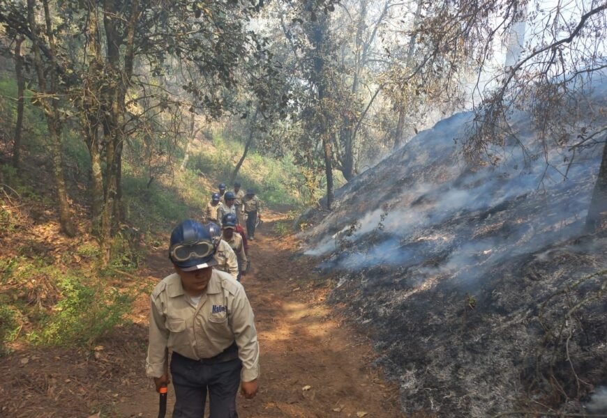 Controlaron Autoridades incendios forestales en cuatro municipios Controlaron Autoridades incendios forestales en cuatro municipios