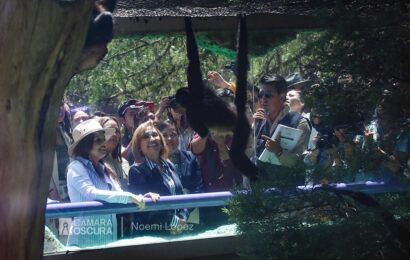 Encabezó Gobernadora reapertura del Zoológico del Altiplano