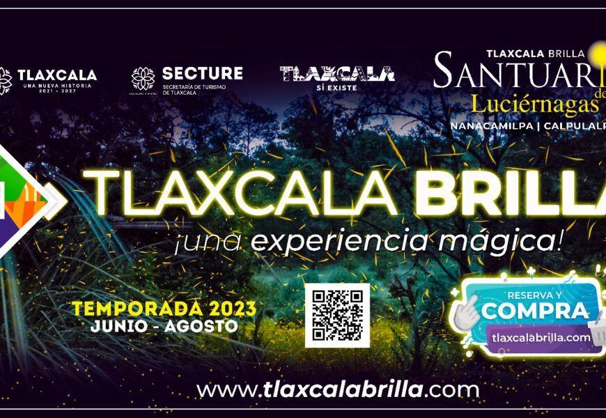 Reporta SECTURE incremento de Luciérnagas por presencia de lluvia