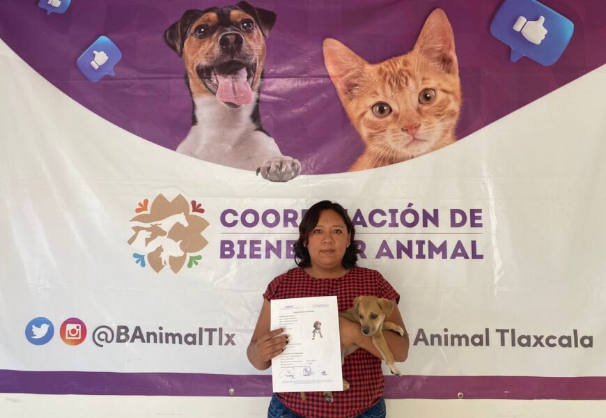 Atendió CBA 67 denuncias en el primer semestre de 2023