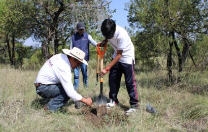 Plantó SMA 2 mil árboles en Cuaxomulco