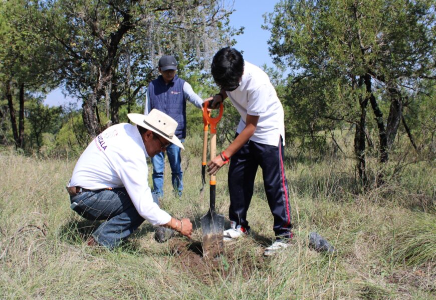 Plantó SMA 2 mil árboles en Cuaxomulco