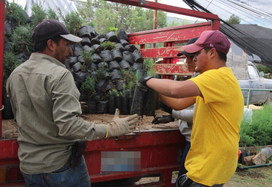 Entrega SIA más de 70 mil árboles para reforestación en zonas agrícolas