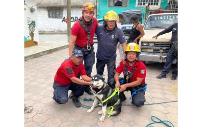 Rescate Heroico: Bomberos de Tlaxcala salvan a dos perritos en situaciones límite