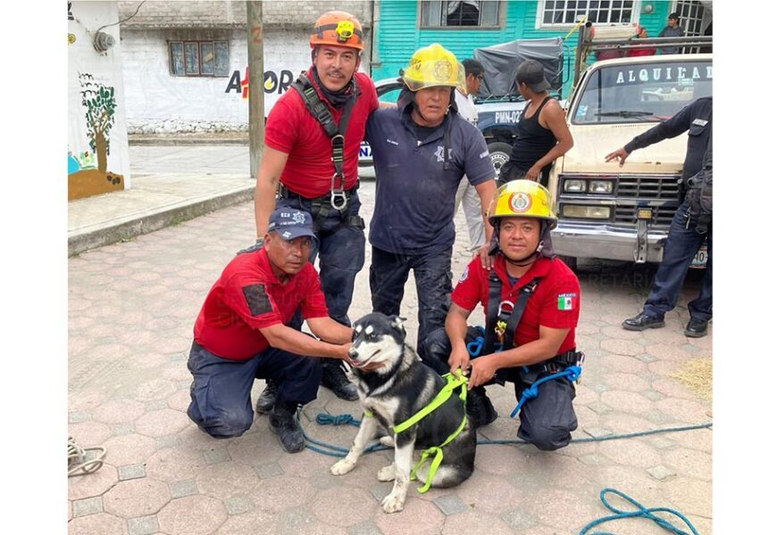 Rescate Heroico: Bomberos de Tlaxcala salvan a dos perritos en situaciones límite