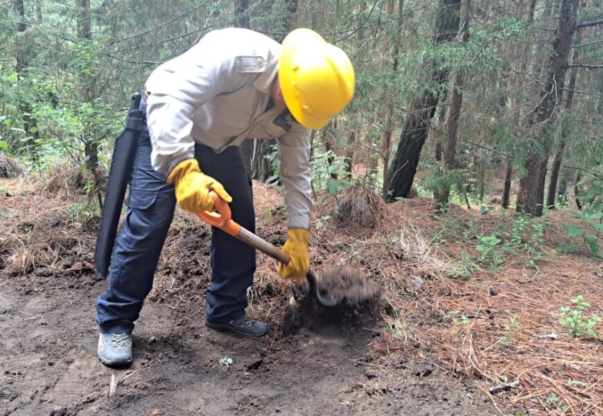 SMA ejecuta acciones para la prevención de incendios forestales