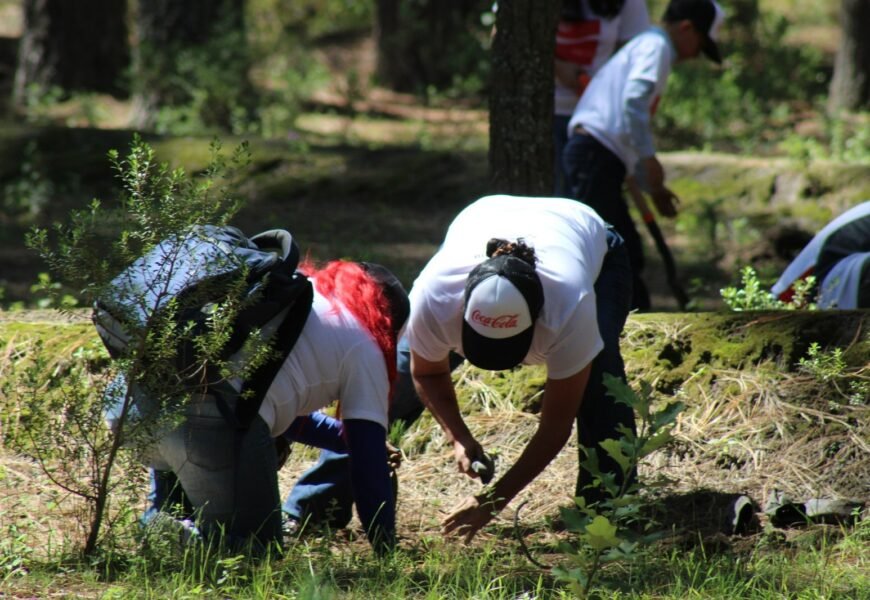 Gobierno y el Estado e Iniciativa Privada Realizan Trabajos de Reforestación en La Malinche