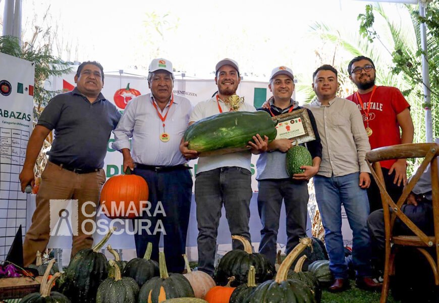 Segundo Concurso Estatal de Calabaza: Tradición, Naturaleza y Sabor