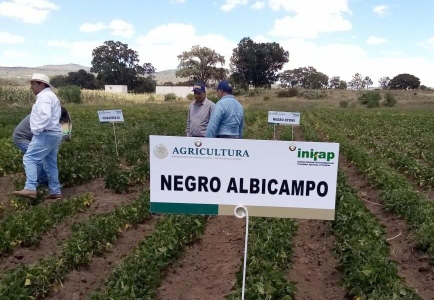 Reciben curso sobre innovaciones tecnológicas en el cultivo de frijol