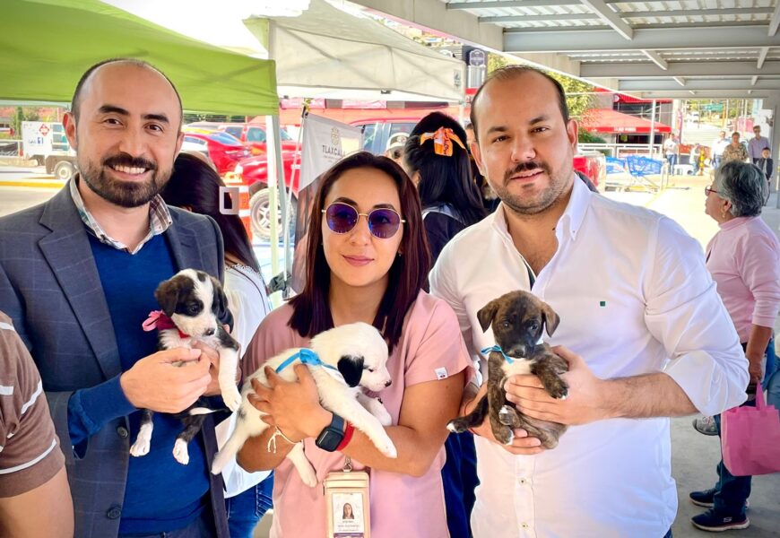 Realiza Segunda Jornada de Adopción Canina en Tlaxcala