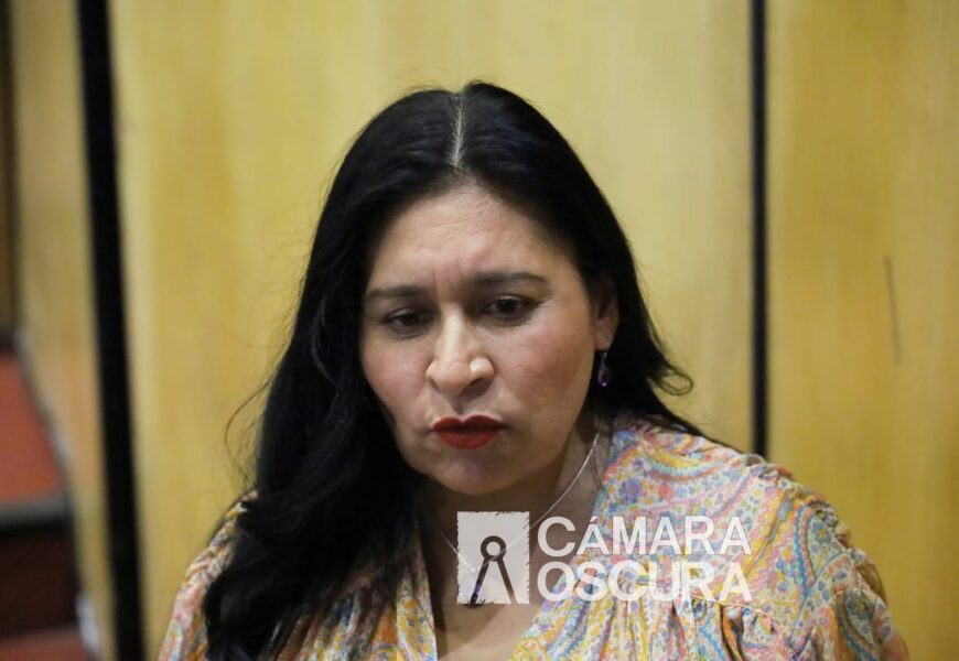 Hace falta trabajo legislativo para armonizar las leyes federales en Tlaxcala, puntualizó Ana Lilia Rivera