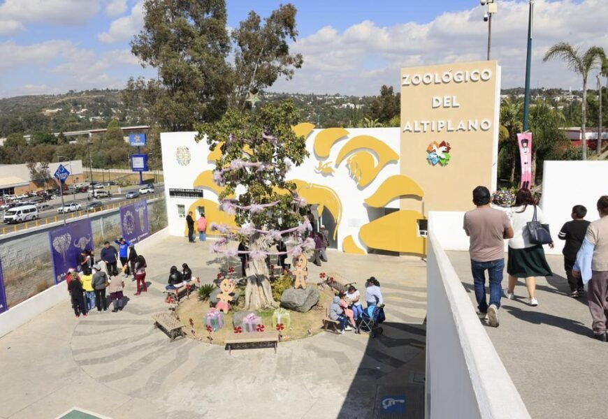 Disfrutan cientos de visitantes de los atractivos del zoológico del altiplano Disfrutan cientos de visitantes de los atractivos del zoológico del altiplano