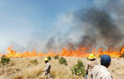 Exhorta comité estatal de manejo del fuego a evitar incendios forestales
