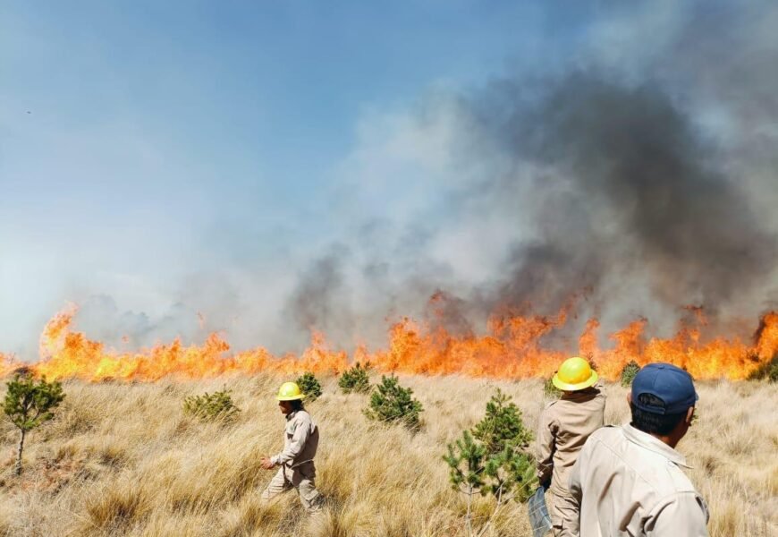 Exhorta comité estatal de manejo del fuego a evitar incendios forestales