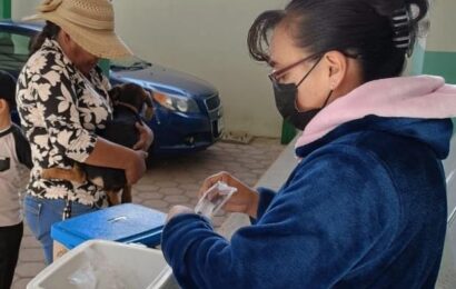 Sector Salud de Tlaxcala aplica vacunación antirrábica para perros y gatos