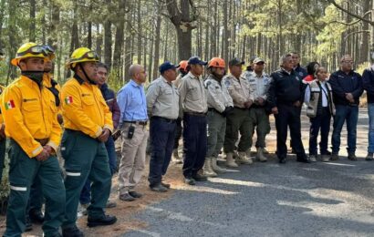 Exhorta SMA a proteger macizos forestales en época vacacional