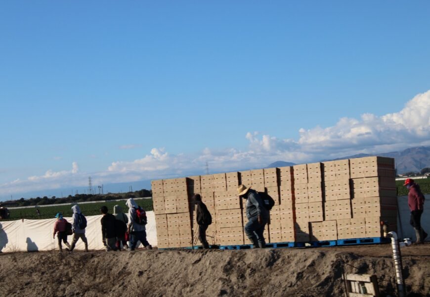 Tlaxcaltecas en Estados Unidos podrán afiliarse al IMSS para recibir servicios médicos