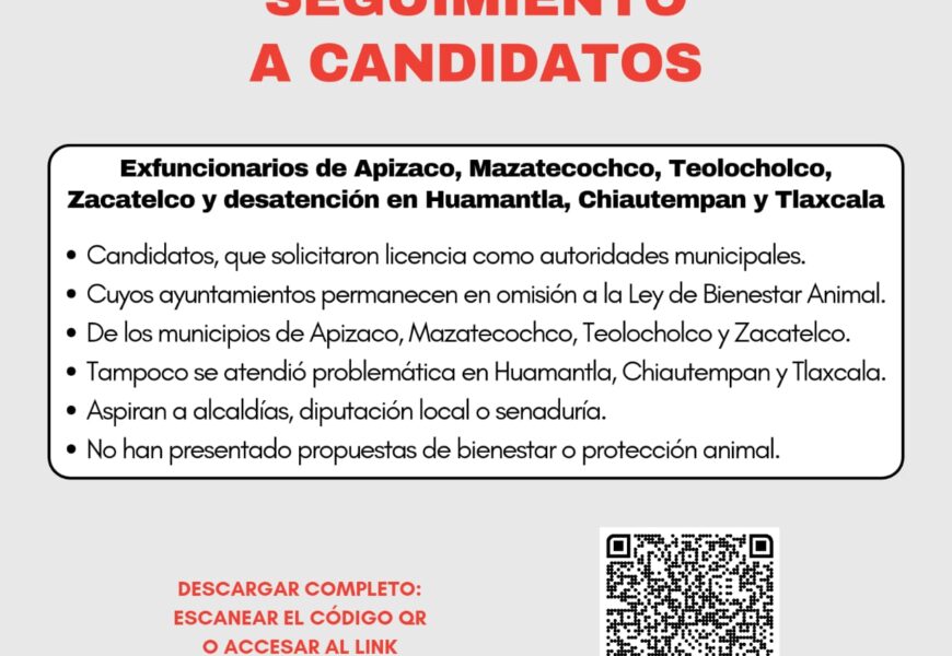 Preocupación del OCPA por falta de atención de candidatos a la Ley de Bienestar Animal