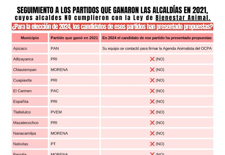Candidatos Municipales en Tlaxcala Omisos en Propuestas de Bienestar Animal