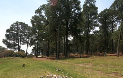 Invita IDET a participar en el Primer Trail Raicing Series 2024 Malintzi Tlaxcala