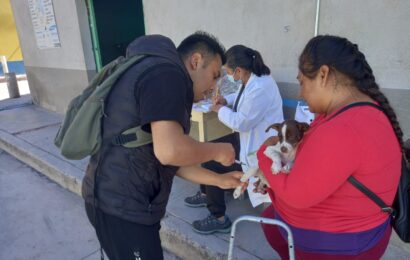 Se mantiene Tlaxcala como área geográfica libre de transmisión de rabia en animales y humanos
