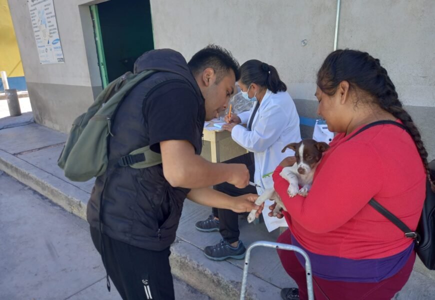 Se mantiene Tlaxcala como área geográfica libre de transmisión de rabia en animales y humanos