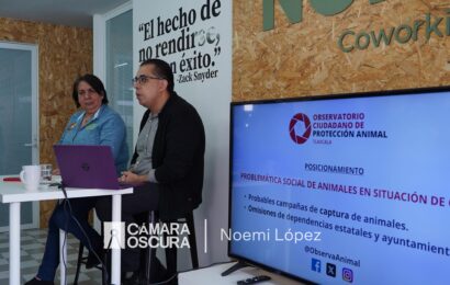 OCPA informa sobre  problemática social de animales en situación de calle